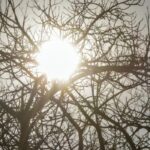 Confira a previsão...