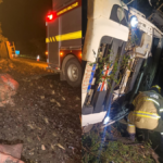 Motorista perde a...