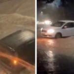 Bombeiros retiram 51...