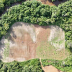 Polícia Civil desmantela...