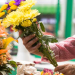 Justiça em Pedro...