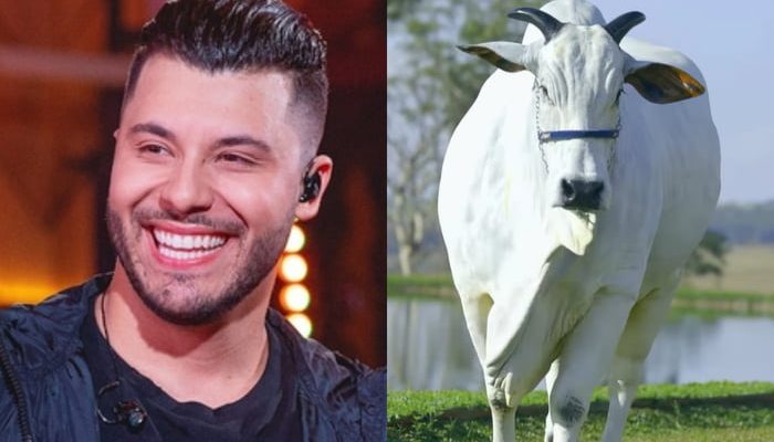 9161_murilo-huff-explica-decisao-de-comprar-vaca-de-17-milhoes-jpg.webp.jpeg