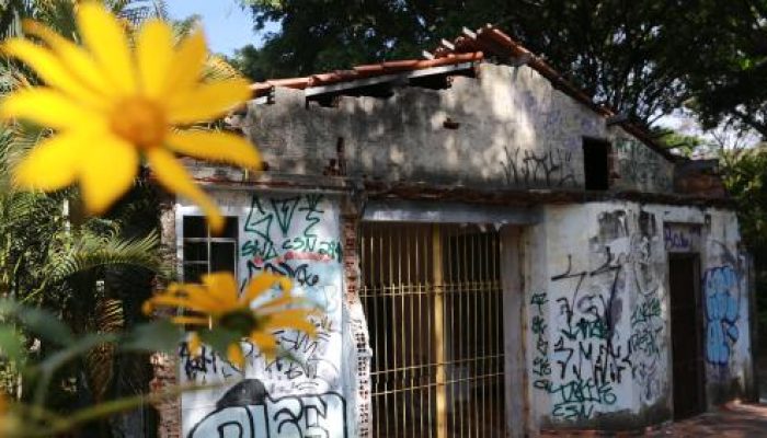 BH-sanciona-lei-para-limpar-pichacoes-com-apologia-ao-crime-organizado.jpg