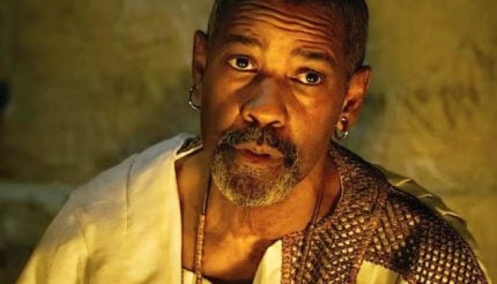 Denzel-Washington-430x323.jpg