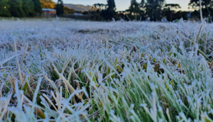 Prepare-se! Frio Intenso com queda brusca de temperatura em Minas Gerais e no Brasil na próxima semana