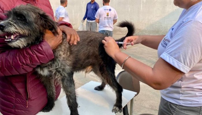 Prefeitura-de-BH-promove-vacinacao-de-animais-contra-a-raiva-em-shopping-da-regiao-Nordeste.jpg