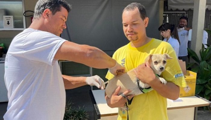 Vacinacao-de-caes-e-gatos-contra-a-raiva-em-BH-sera-em-23-de-agosto.jpg