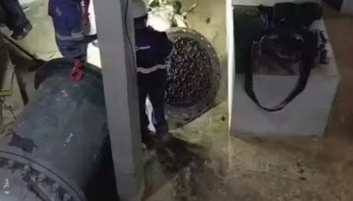 Video-mostra-momento-em-que-egua-e-retirada-de-adutora-da-Copasa-em-BH.jpg