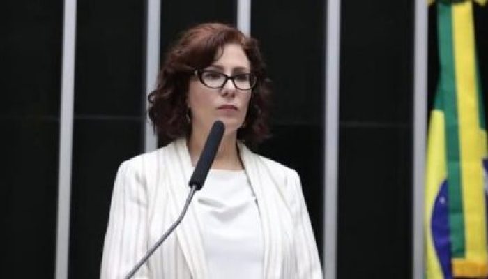 Zeca-Ribeiro-Camara-dos-Deputadfos-430x241.jpg