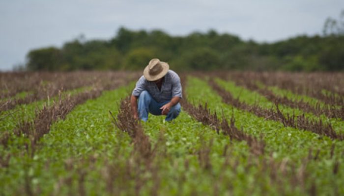 Vagas de emprego no setor agro/ Imagem ilustrativa