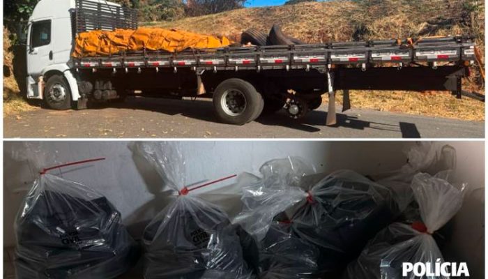 O individuo foi encaminhado para a Delegacia de Policia – Crédito: PCMG