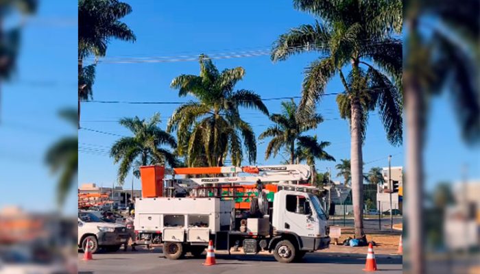 Folha de árvore causou queda de energia / Foto: enviada ao SeteLagoas.com.br