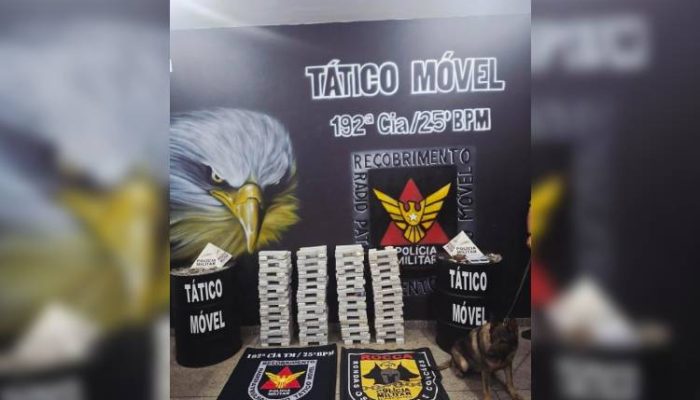 Entorpecentes estavam enterrados em tambores / Foto: Polícia Militar / divulgação