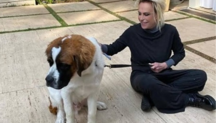 foto-ana-maria-braga-lamenta-morte-de-cachorro-descansa-em-paz-meu-amor-1-430x323.png