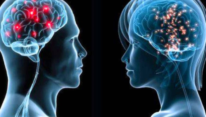 foto-especialista-explica-as-diferencas-cognitivas-entre-homens-e-mulheres-1-430x323.png