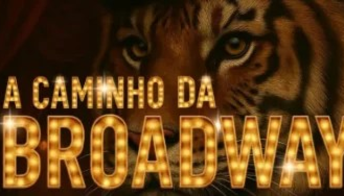 Com nova produção, Lapso Cia. de Teatro convida público de Sete Lagoas a sonhar “A Caminho da Broadway”
