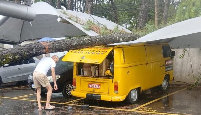 te que estava na via pública se partiu ao meio e caiu sobre o muro do condomínio