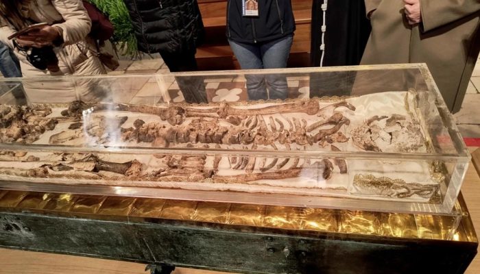 JULIETTE RABAT/AFPItália exibe pela primeira vez os restos mortais de São Francisco de Assis
