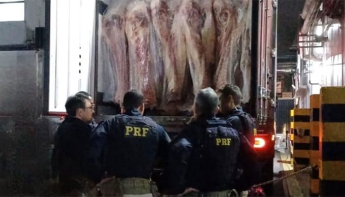 Droga foi localizada com ajuda de cães farejadoresFoto: PRF / Divulgação