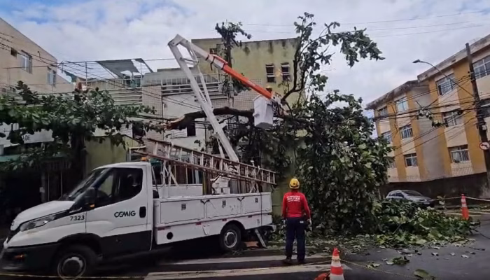 queda-arvore-bombeiros.avif.avif