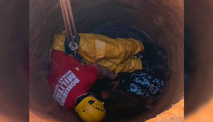 Animal caiu em fossa de seis metros de profundidade / Foto: Corpo de Bombeiros / reprodução